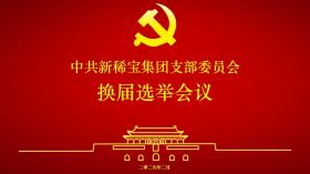 新稀寶黨支部換屆會議順利召開